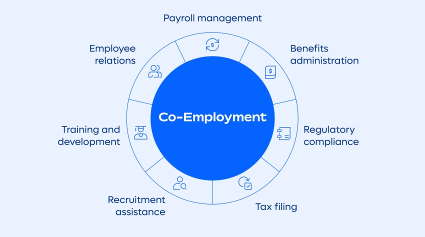 The different elements of co-employment laid out in a circle graph
