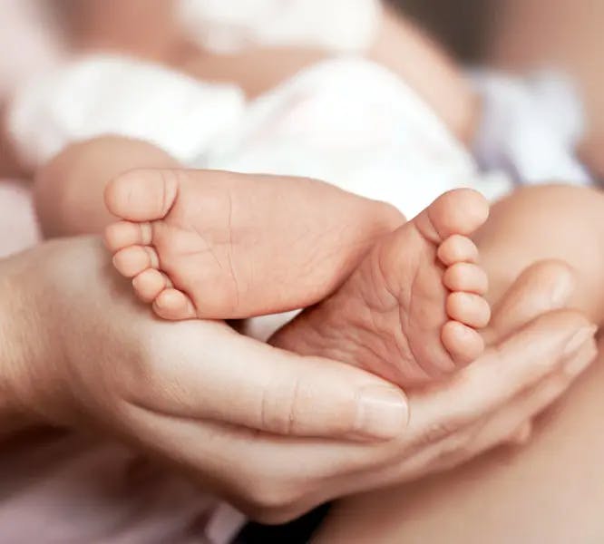 image about Pays-Bas : droit au congé maternité, au congé parental et aux congés payés